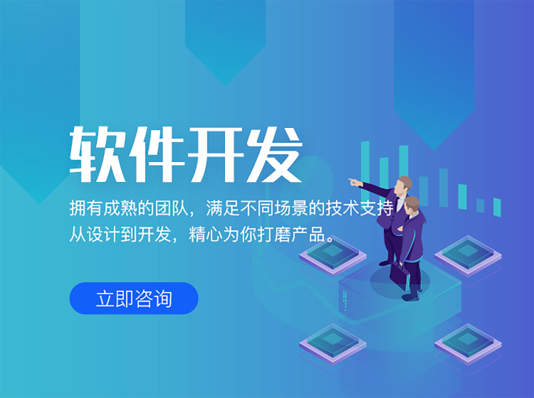 软件开发